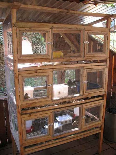 18 DIY Quail Hutch Ideas And Designs